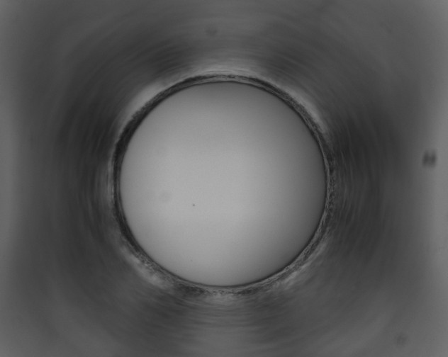 X0000090410982200707130921