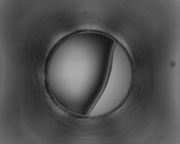 X0000090410984200707130921
