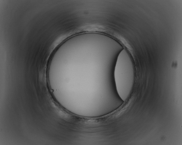 X0000090410986200707130921