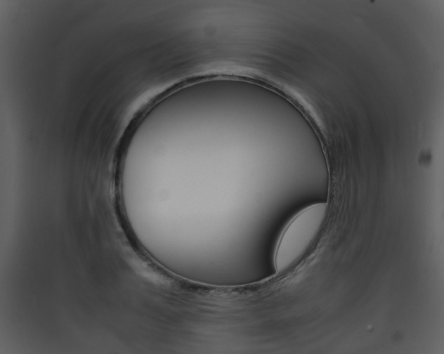 X0000090410987200707130921