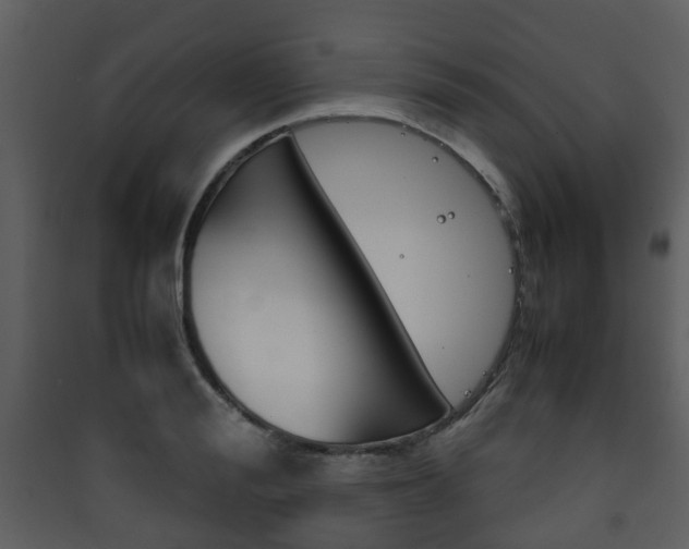 X0000090410988200707130921