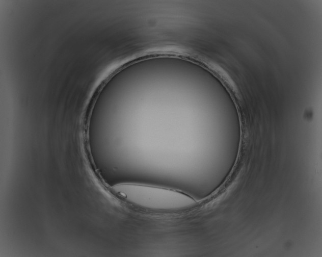 X0000090410989200707130921