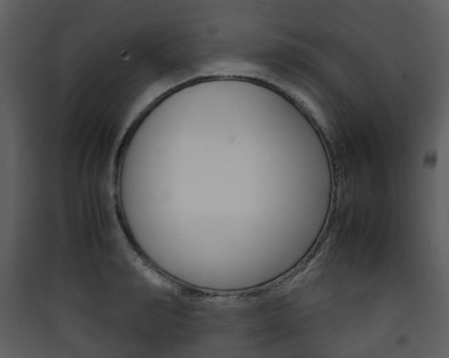 X0000090410990200707130921