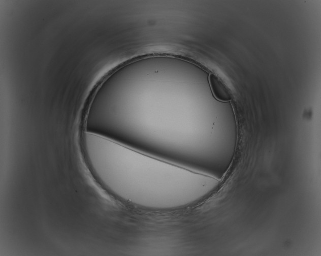 X0000090410991200707130921