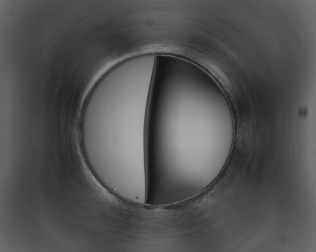 X0000090410992200707130921