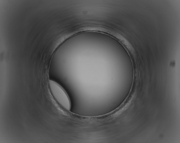 X0000090410993200707130921