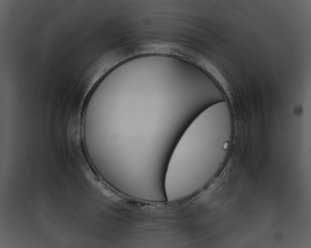 X0000090410994200707130921