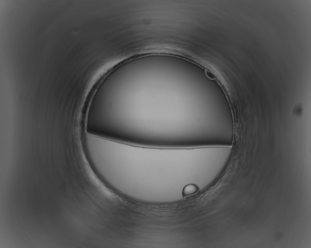 X0000090410995200707130921