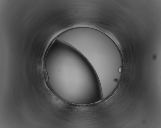 X0000090410996200707130921