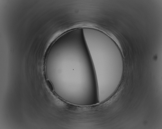 X0000090410997200707130921