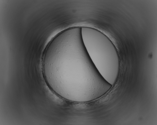 X0000090410998200707130921