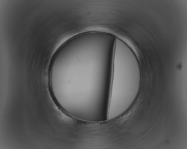 X0000090410999200707130921