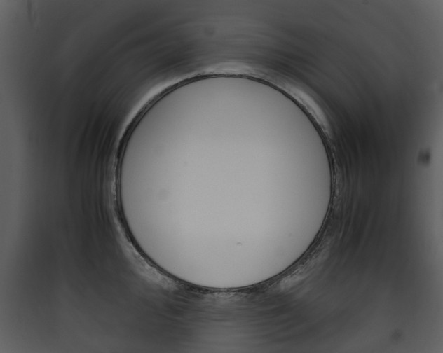 X0000090411000200707130921