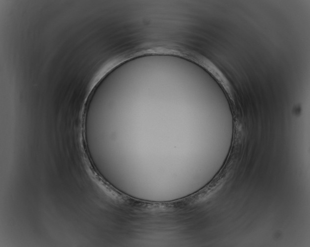 X0000090411002200707130921