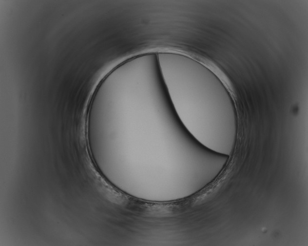 X0000090411004200707130921