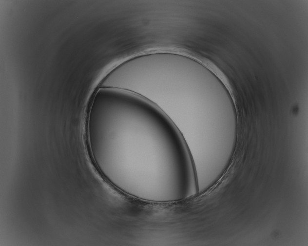X0000090411005200707130921