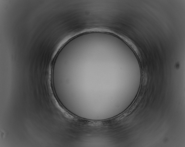 X0000090411006200707130921