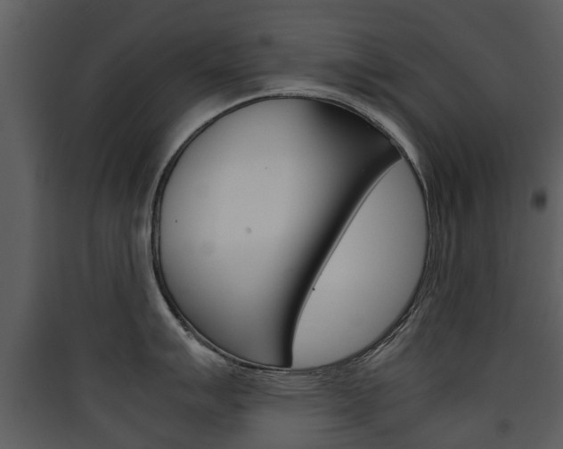 X0000090411007200707130921