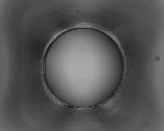 X0000090411008200707130921