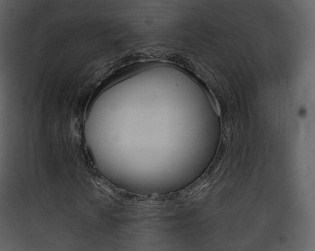 X0000090411010200707130920