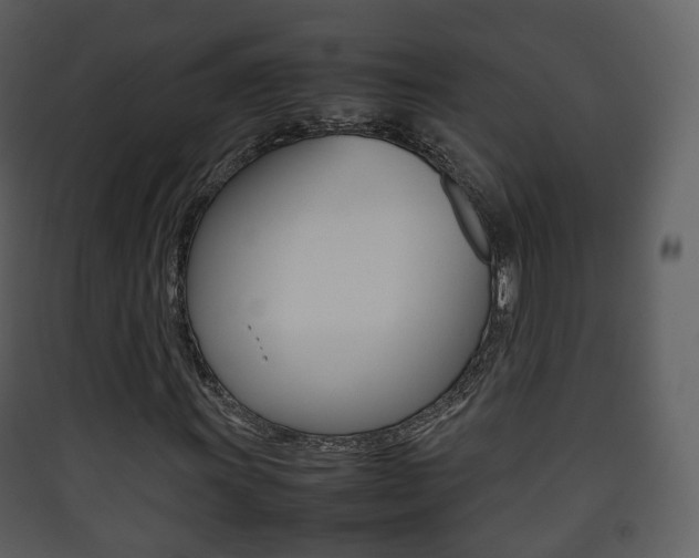 X0000090411011200707130920