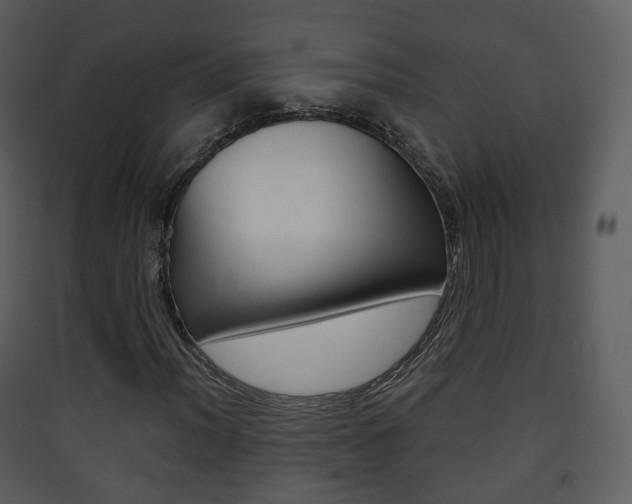 X0000090411012200707130920