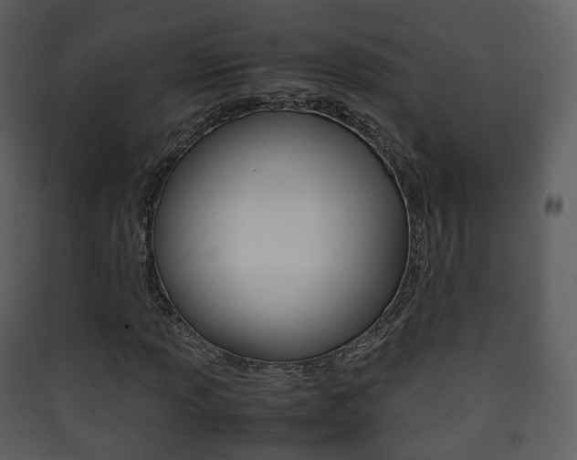 X0000090411013200707130920