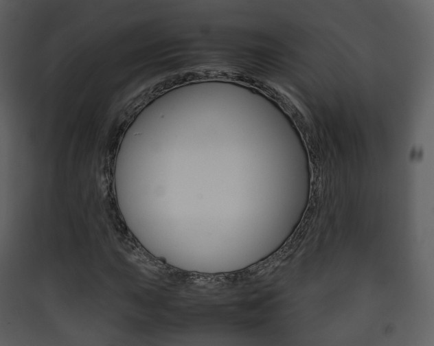 X0000090411015200707130920