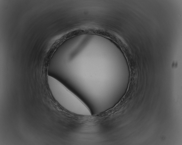 X0000090411016200707130920