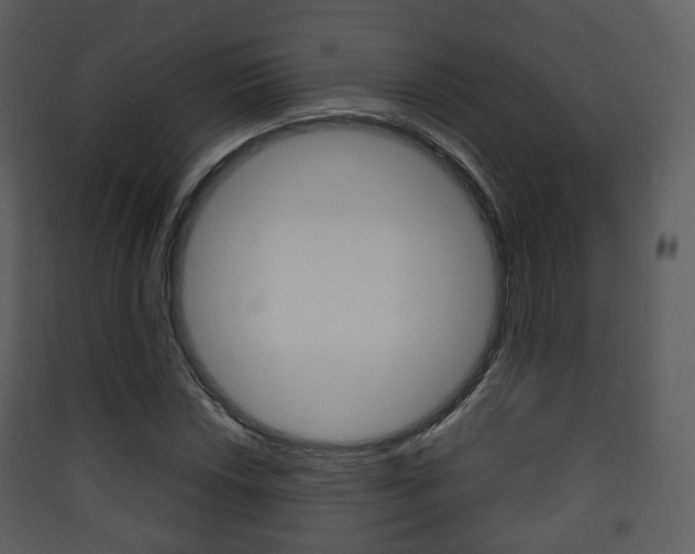 X0000090411018200707130920