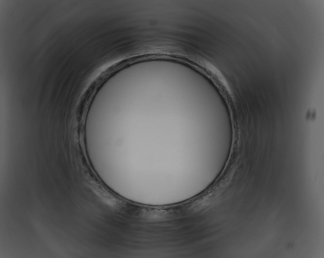X0000090411019200707130920