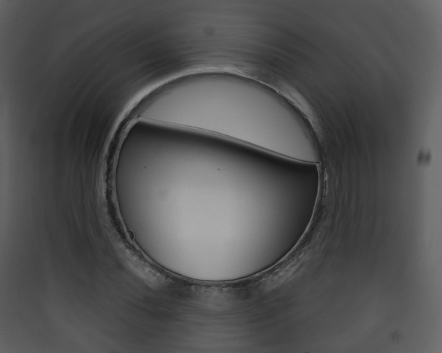X0000090411020200707130921