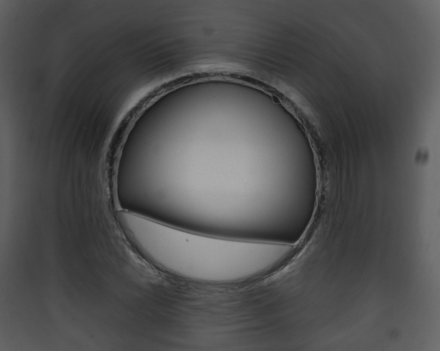 X0000090411022200707130921