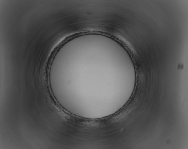 X0000090411023200707130921
