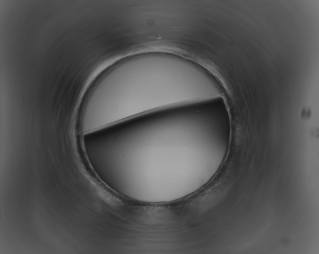 X0000090411024200707130921