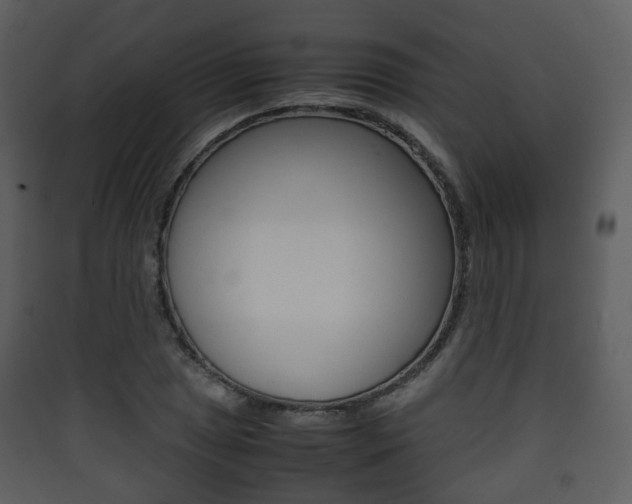 X0000090411025200707130921