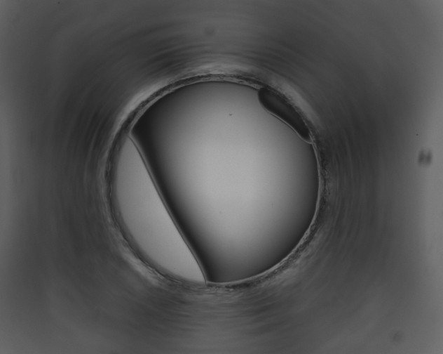 X0000090411026200707130921