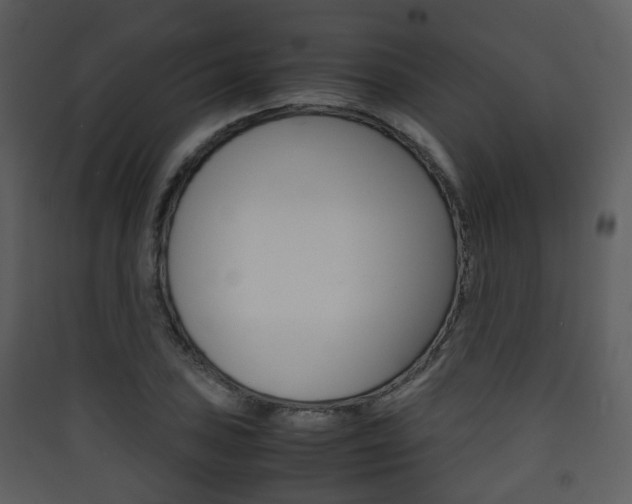 X0000090411027200707130921
