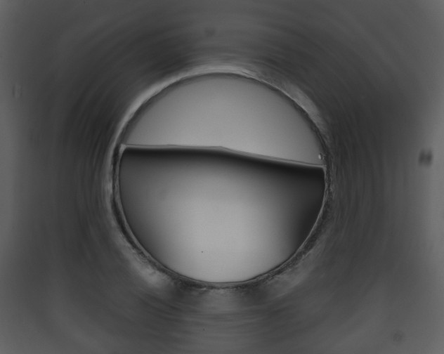 X0000090411028200707130921