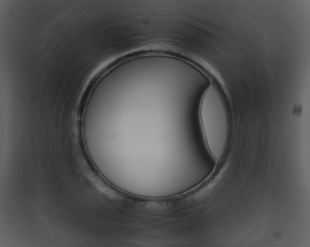 X0000090411029200707130921
