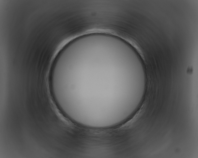 X0000090411030200707130921