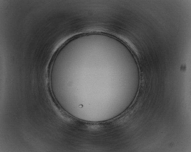 X0000090411031200707130921