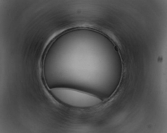 X0000090411032200707130921