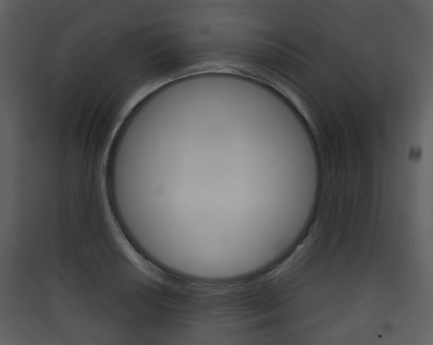 X0000090411034200707130921