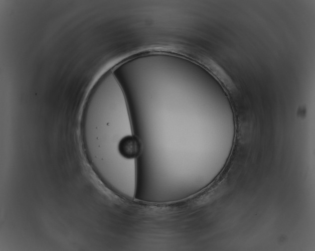 X0000090411036200707130921