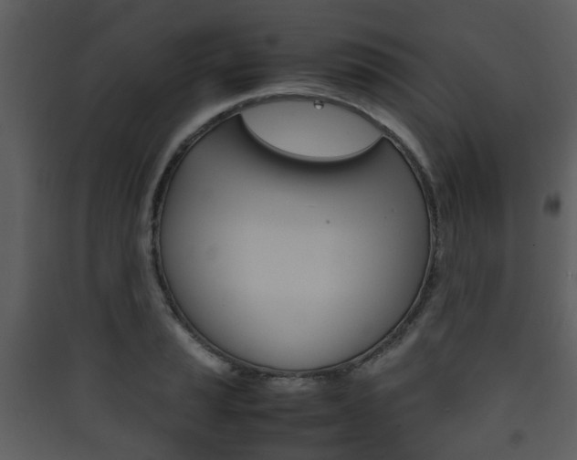 X0000090411037200707130921