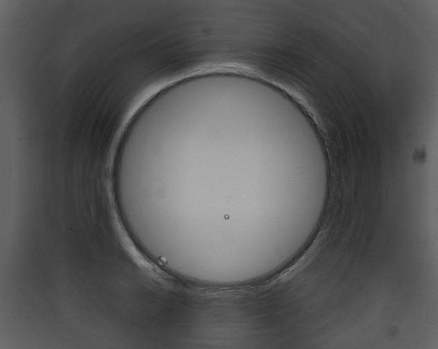 X0000090411038200707130921