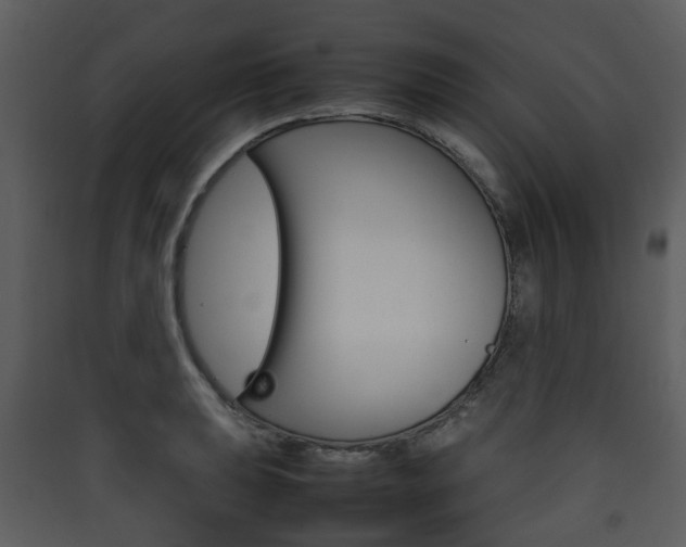 X0000090411039200707130921