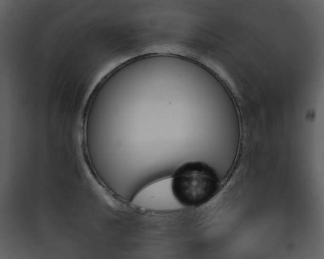 X0000090411040200707130921