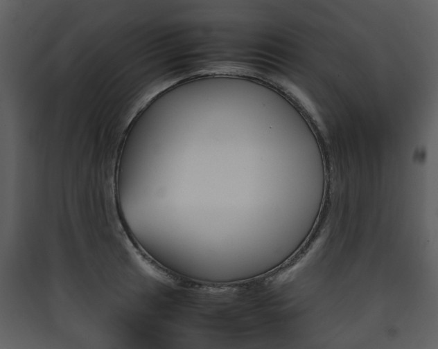 X0000090411041200707130921